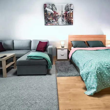 Appartement Spacious And Comfy Apartment, 15 Mins From Airport, 17 Minutes To Center *